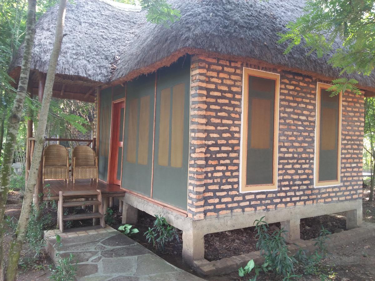 Irungu Forest Safari Lodge Katunguru المظهر الخارجي الصورة