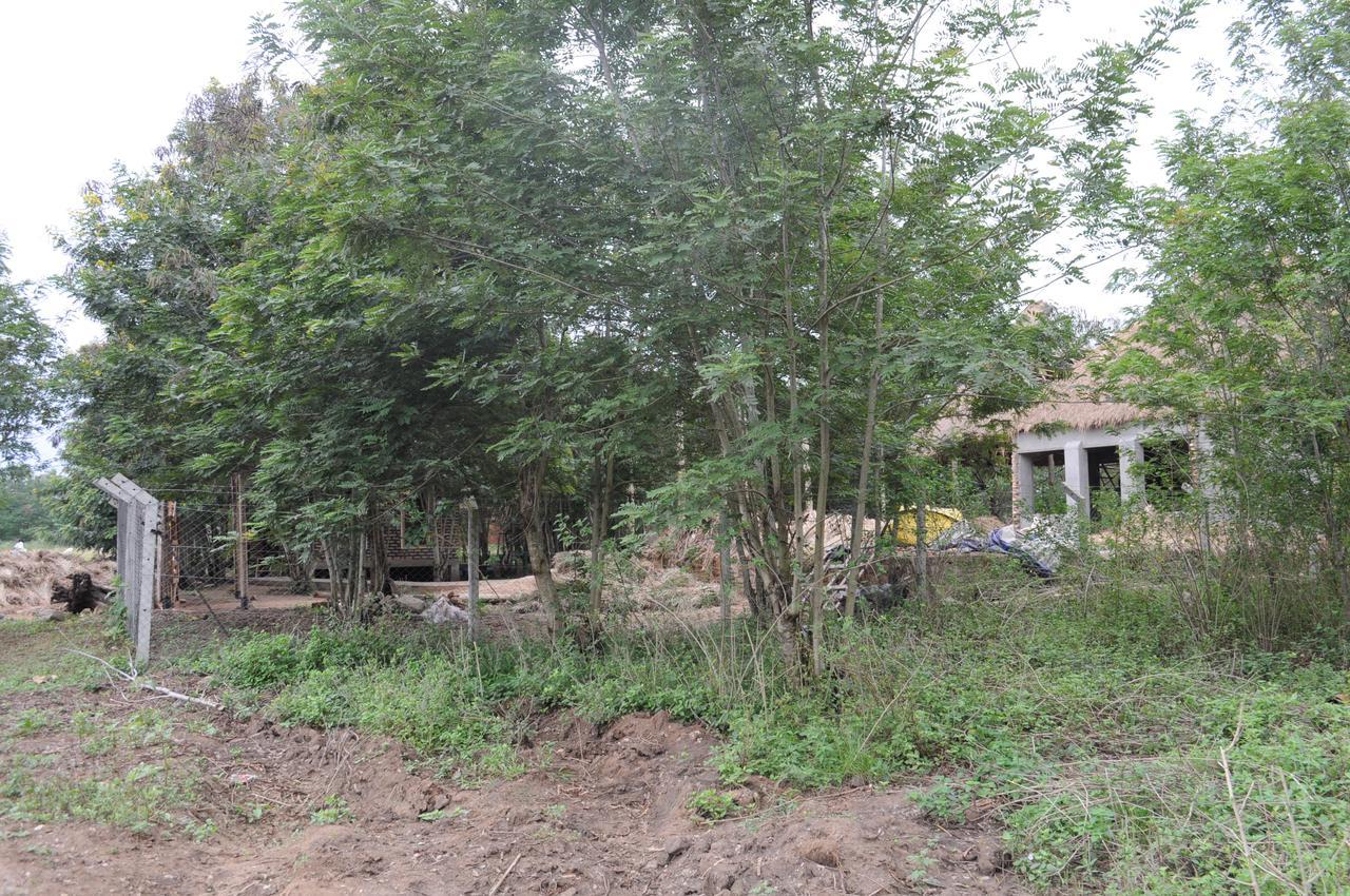 Irungu Forest Safari Lodge Katunguru المظهر الخارجي الصورة