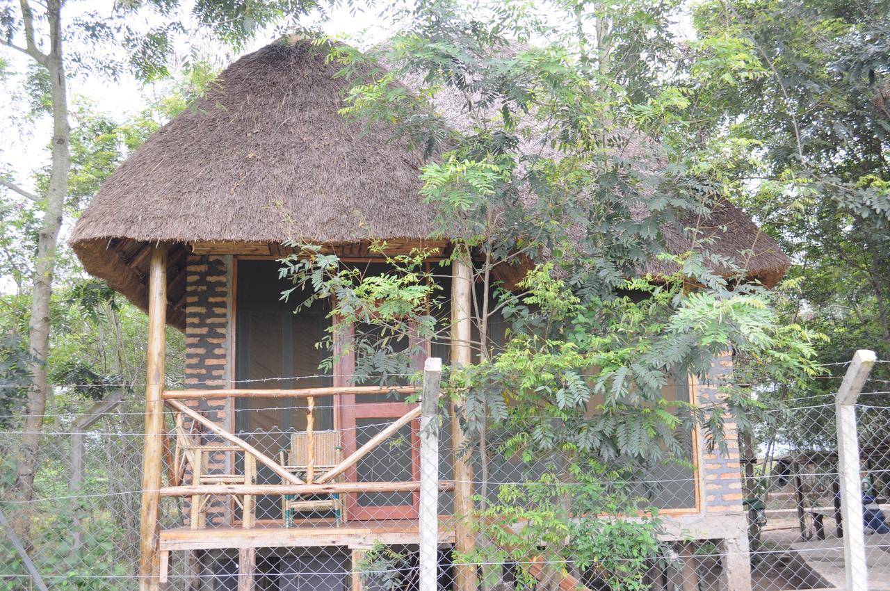 Irungu Forest Safari Lodge Katunguru المظهر الخارجي الصورة