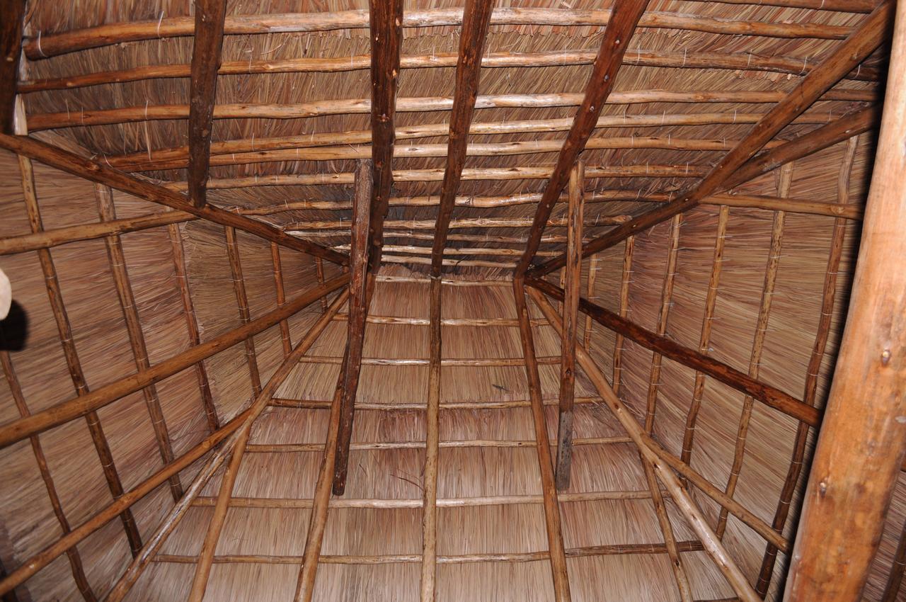 Irungu Forest Safari Lodge Katunguru المظهر الخارجي الصورة