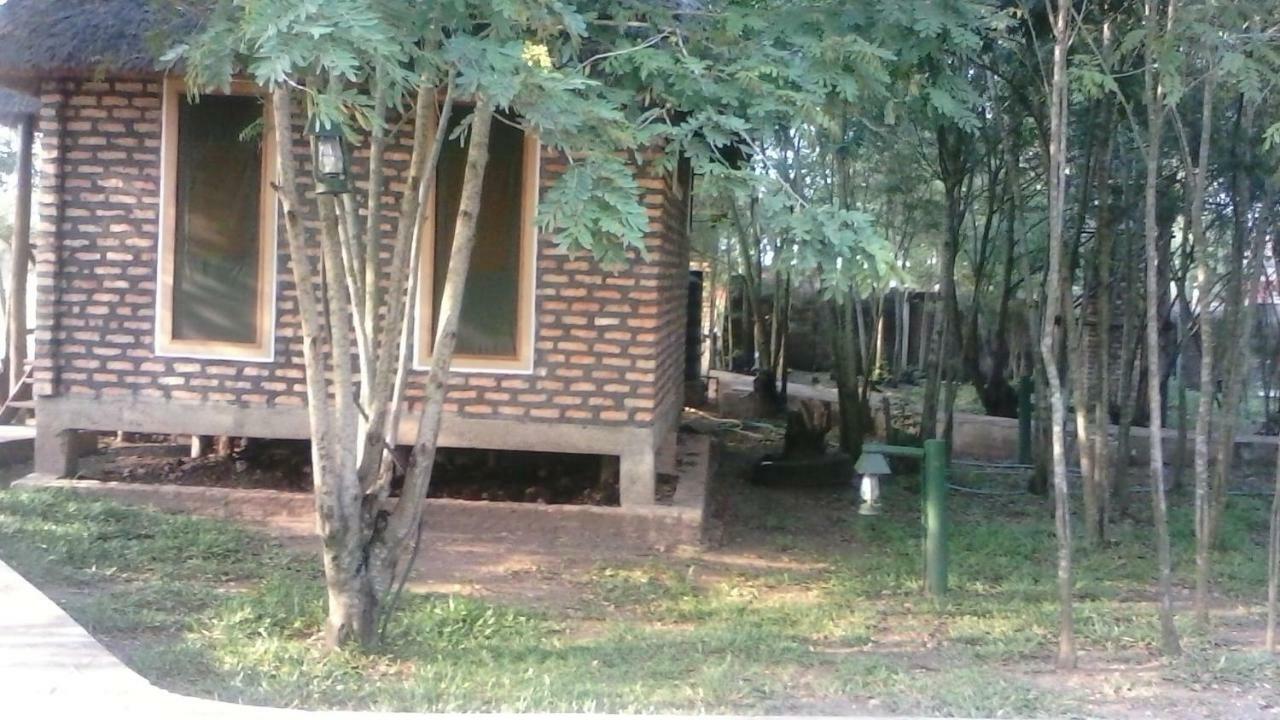 Irungu Forest Safari Lodge Katunguru المظهر الخارجي الصورة