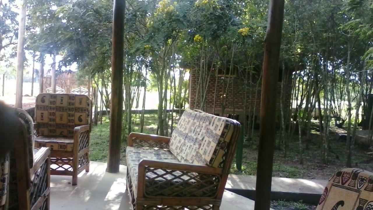 Irungu Forest Safari Lodge Katunguru المظهر الخارجي الصورة