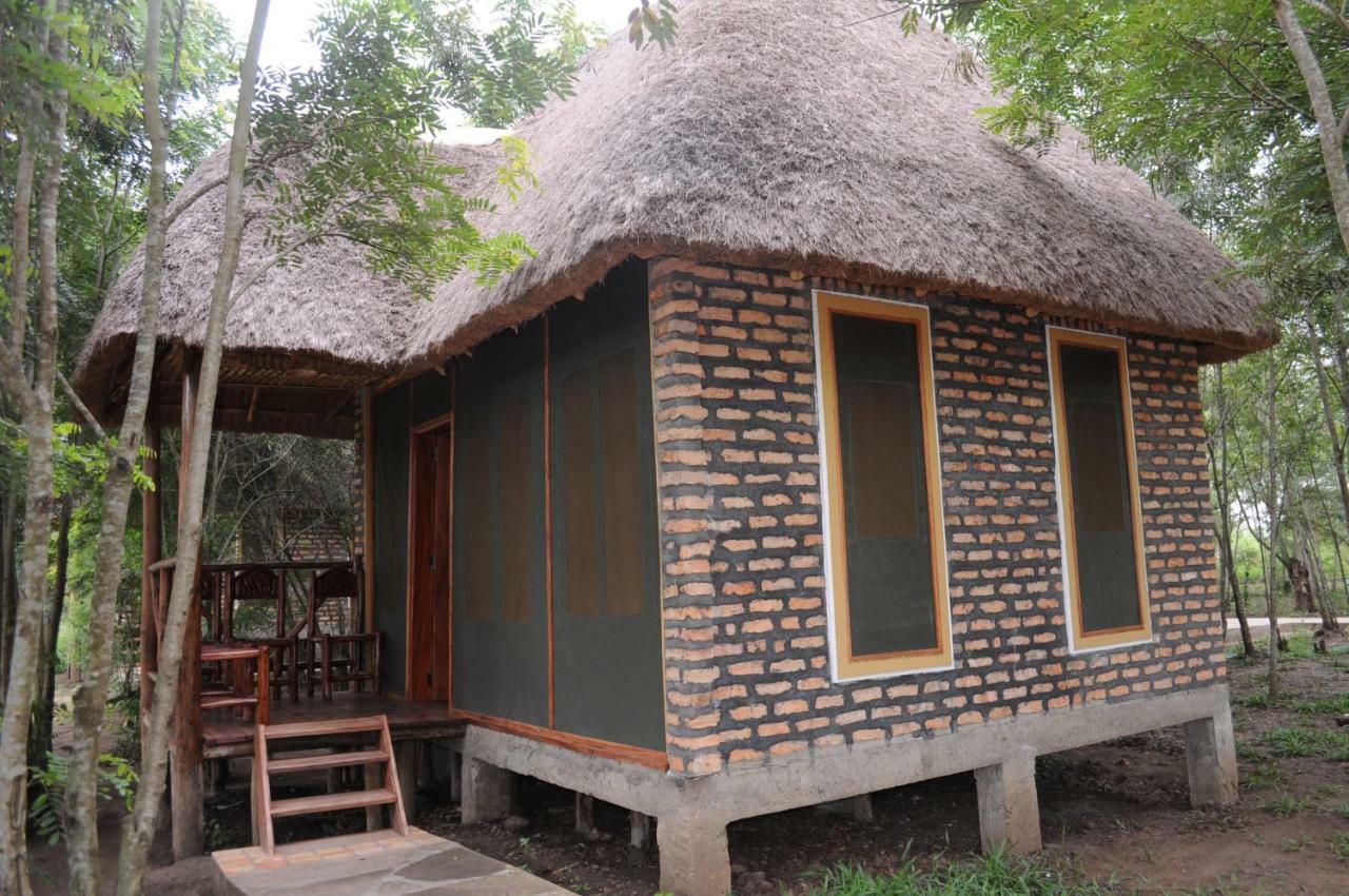 Irungu Forest Safari Lodge Katunguru المظهر الخارجي الصورة