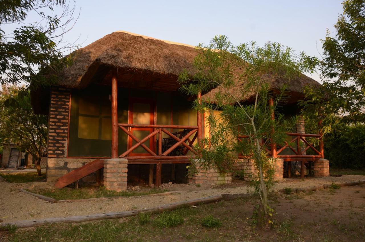 Irungu Forest Safari Lodge Katunguru المظهر الخارجي الصورة