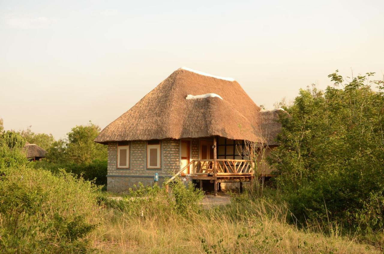 Irungu Forest Safari Lodge Katunguru المظهر الخارجي الصورة