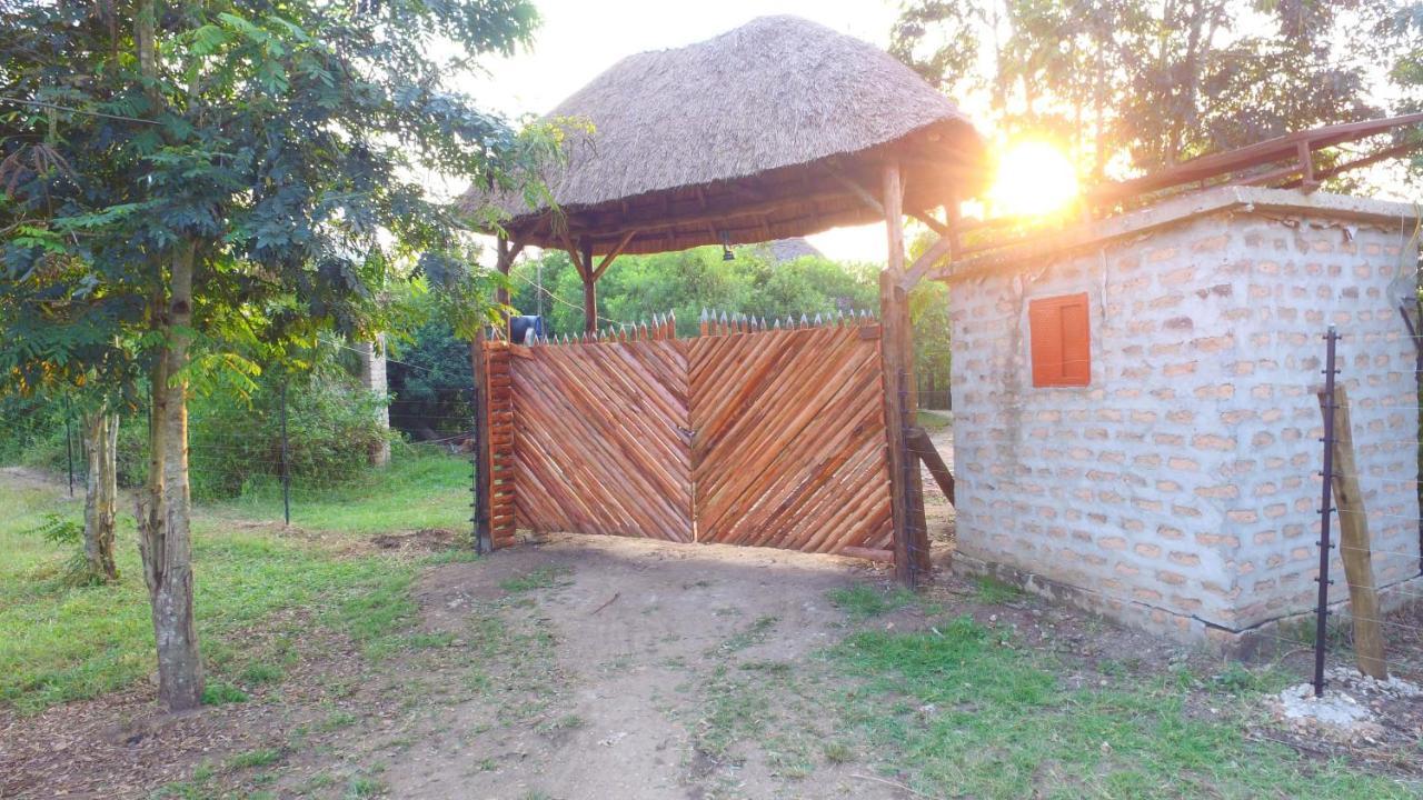 Irungu Forest Safari Lodge Katunguru المظهر الخارجي الصورة